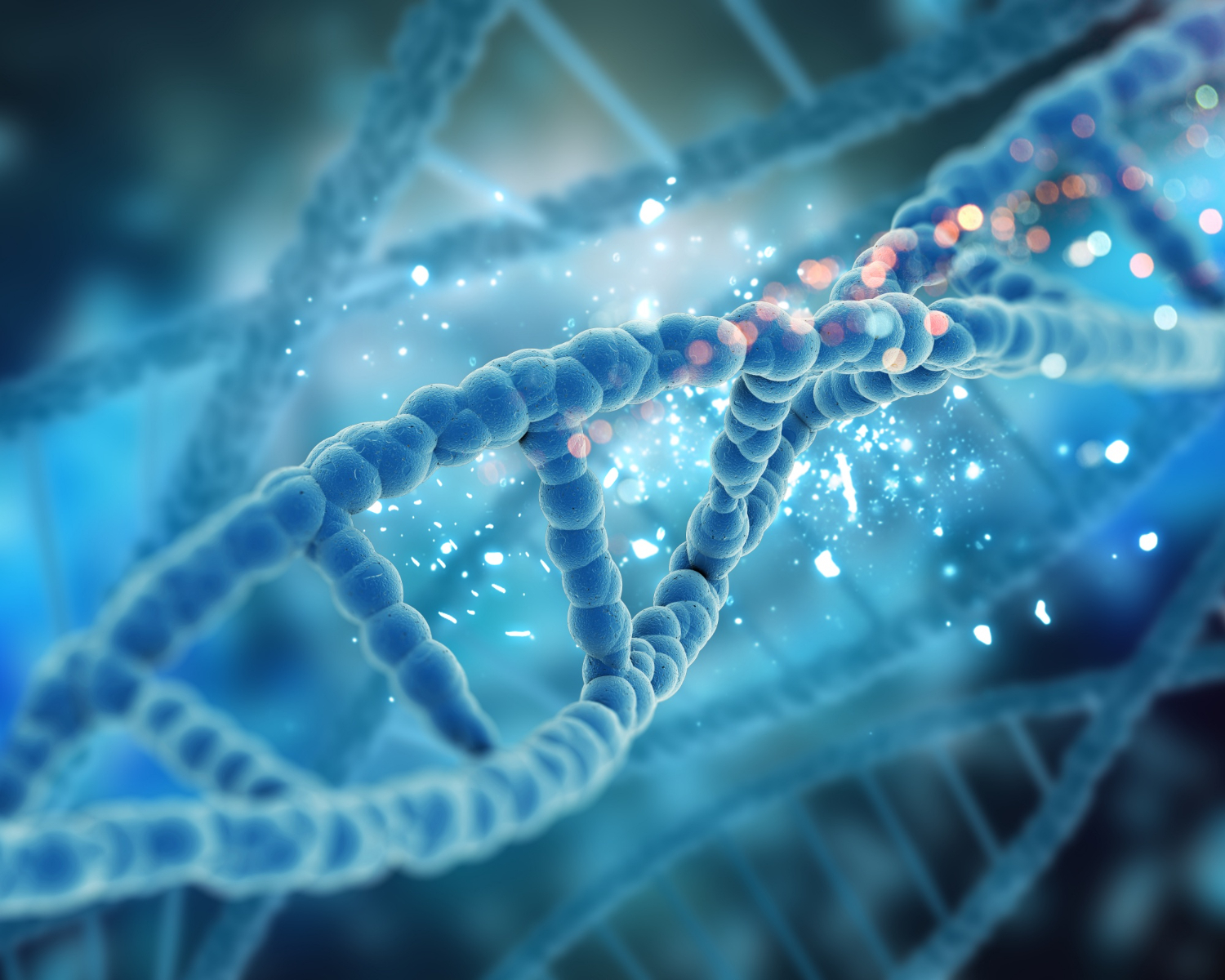 Chromosomal Mutation